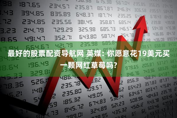 最好的股票配资导航网 英媒: 你愿意花19美元买一颗网红草莓吗?